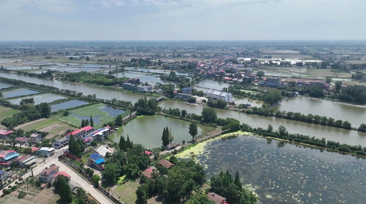 恒峰g22(国际)官网入口-天天有惊喜